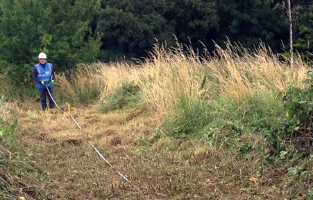 Members of the archaeological society are shown working on the Meadows