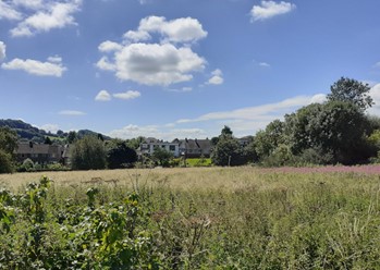 View of the Meadows looking south from tump towards Summer Lane on a sunny day