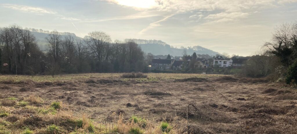 View of the Meadows in the winter. Scrub grass in the foreground and a view across to the houses on Summer Lane.