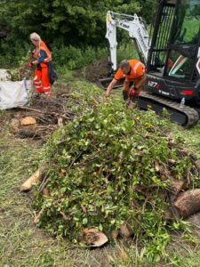 Brash being laid as a layer of the hibernaculum