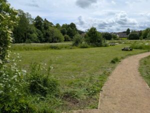 The new central path in the meadows with fence posts removed